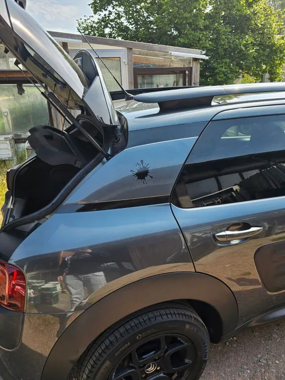 Citroën C4 Cactus