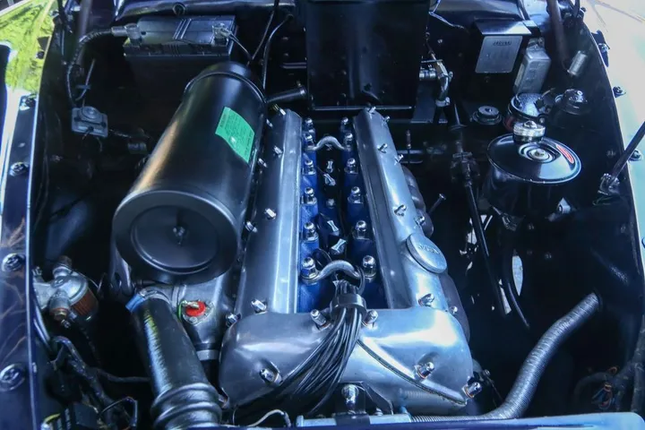 Jaguar Other
