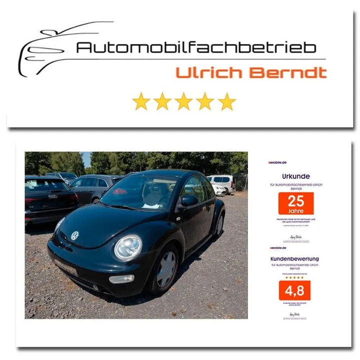 Volkswagen New Beetle