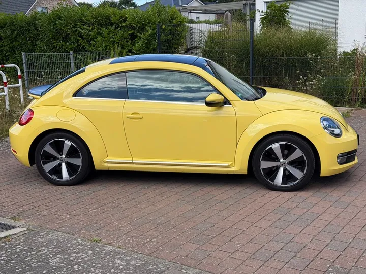 Volkswagen Beetle