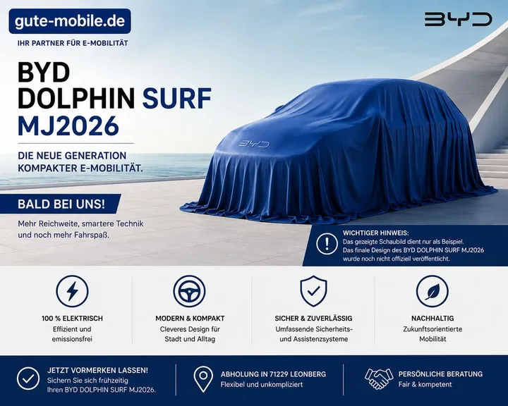 BYD DOLPHIN SURF