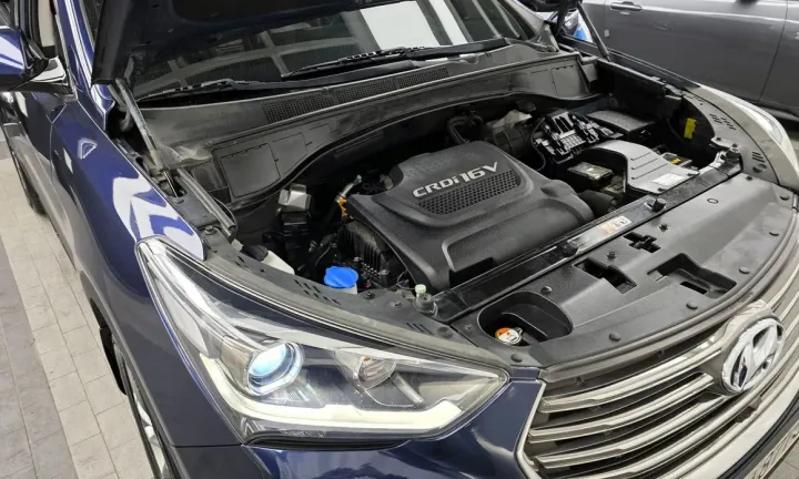 Hyundai Maxcruz