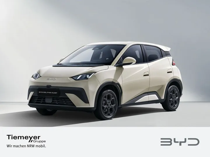 BYD DOLPHIN SURF