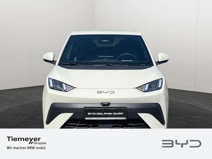 BYD DOLPHIN SURF