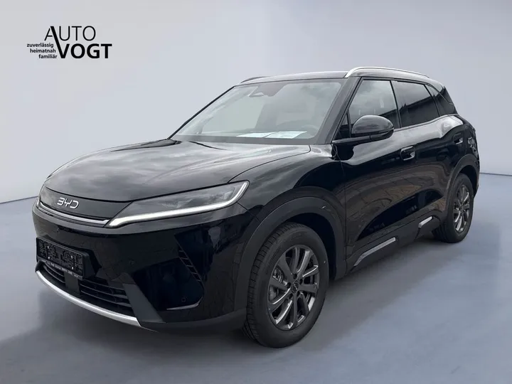 BYD Other
