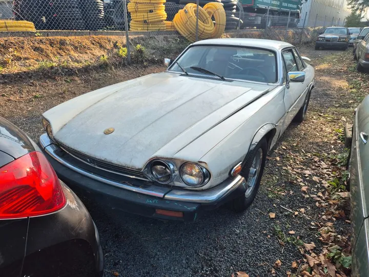 Jaguar XJS