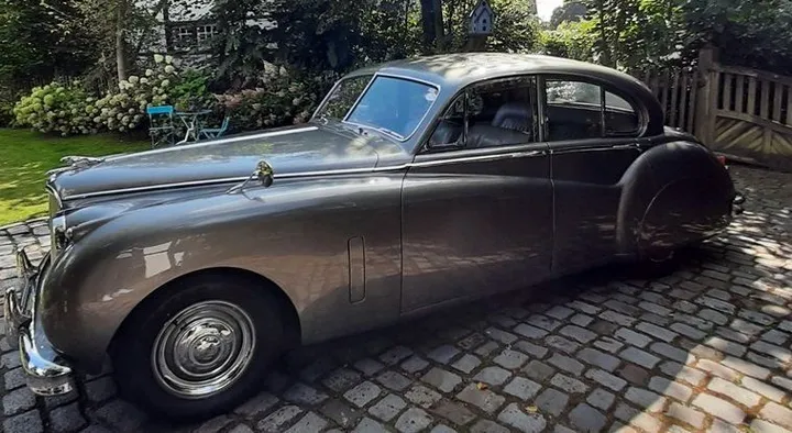 Jaguar Other