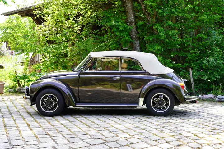 Volkswagen Other