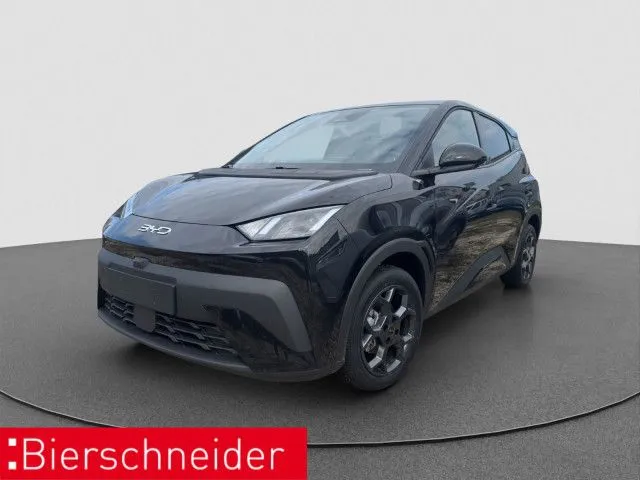 BYD DOLPHIN SURF