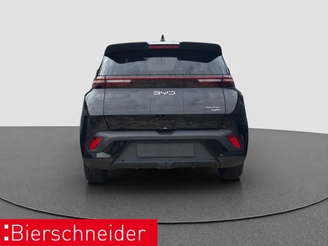 BYD DOLPHIN SURF