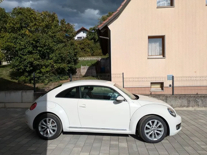 Volkswagen Beetle