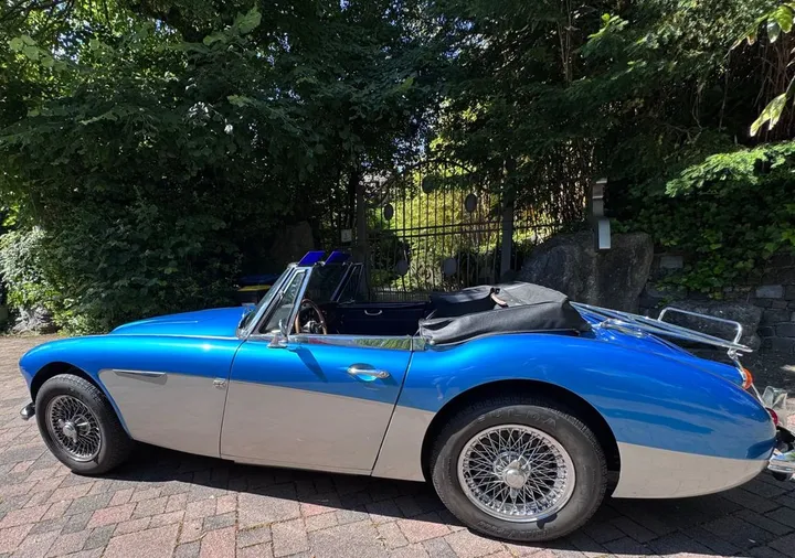 Austin Healey Other