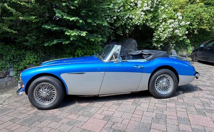 Austin Healey Other