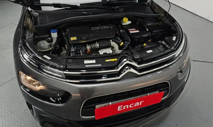 Citroen-DS C4 CACTUS