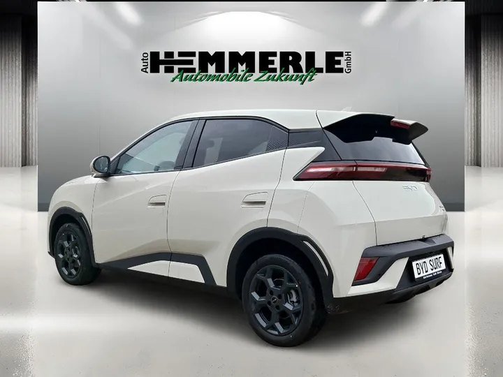 BYD DOLPHIN SURF