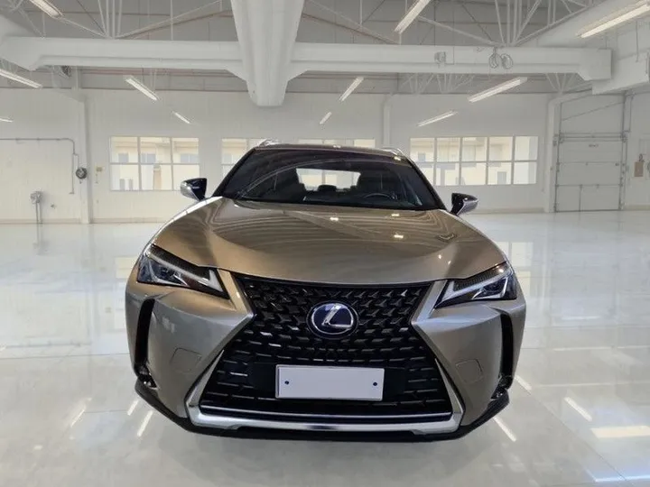 Lexus Other