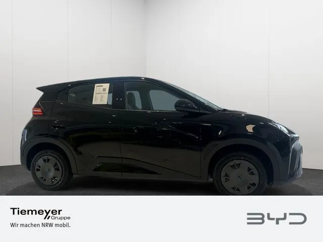 BYD DOLPHIN SURF
