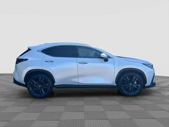 Lexus Other