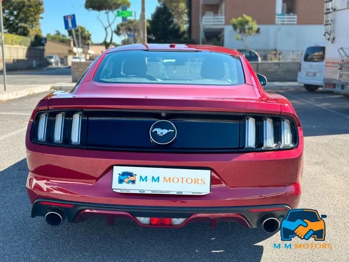 Ford Other
