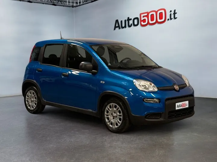 Fiat Other