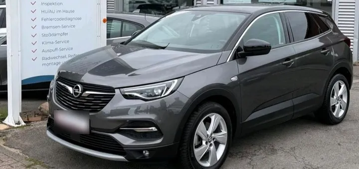 Opel Other