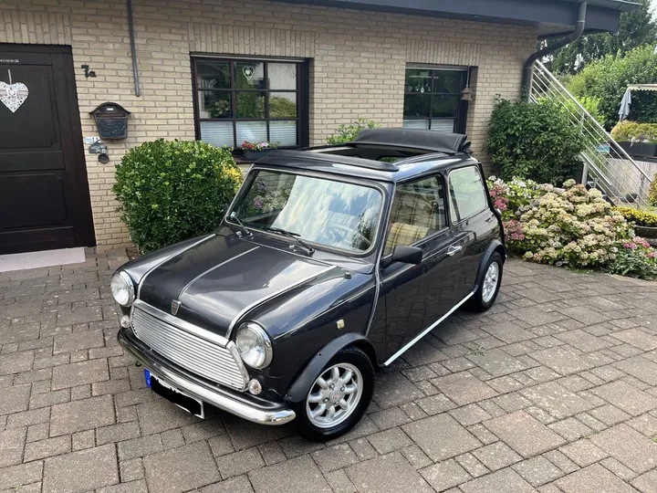 Rover Other