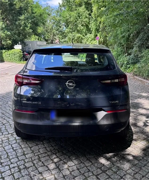 Opel Other