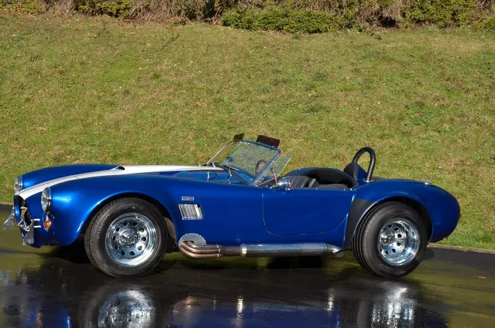 Cobra Other