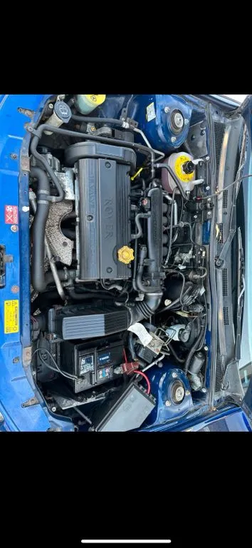 Rover 25