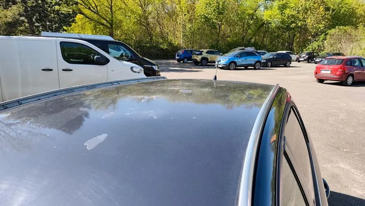 Opel Signum