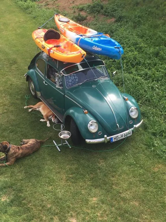 Volkswagen Käfer