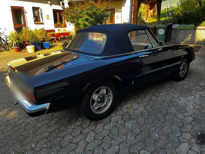 Alfa Romeo Spider