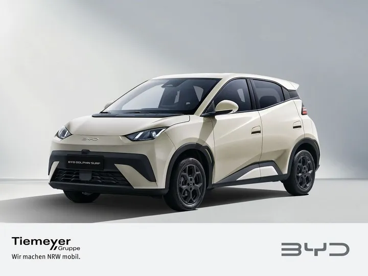 BYD DOLPHIN SURF