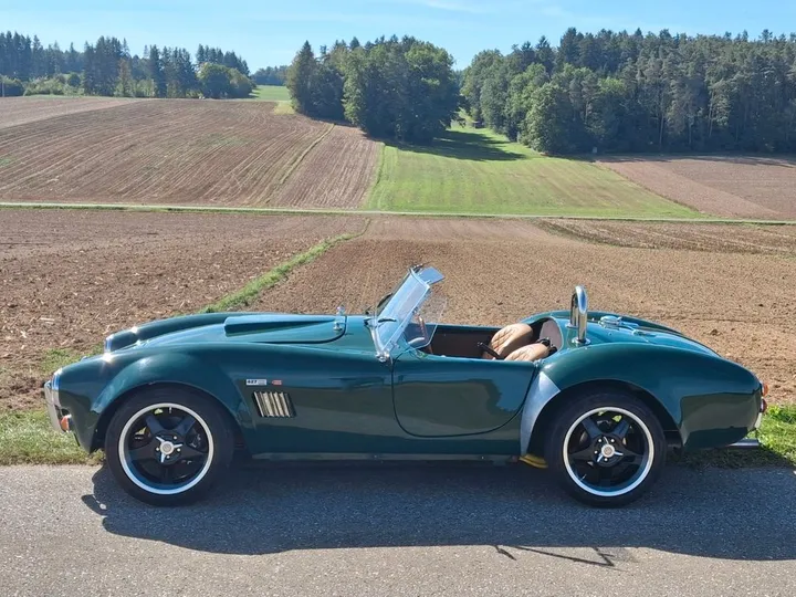 Cobra Other
