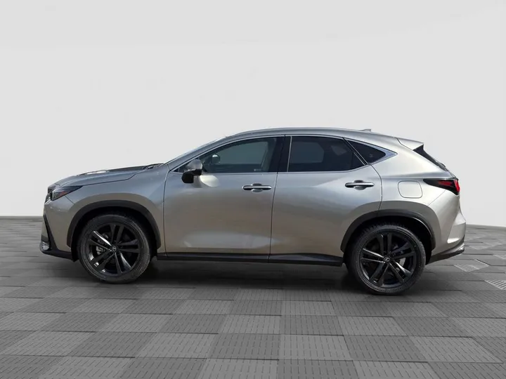 Lexus Other