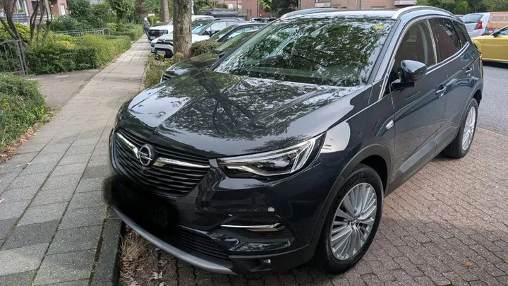 Opel Other