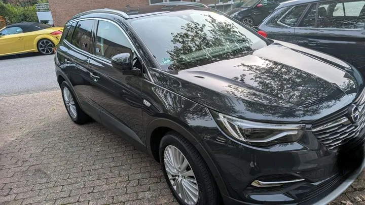 Opel Other