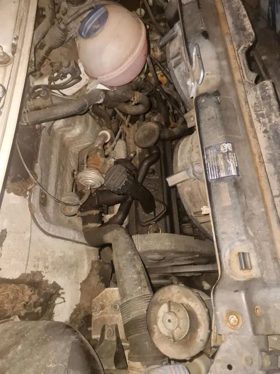 Volkswagen Other