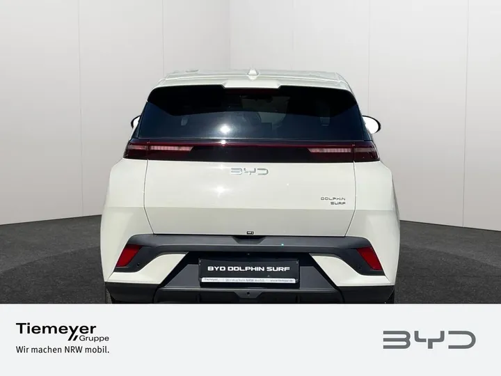BYD DOLPHIN SURF
