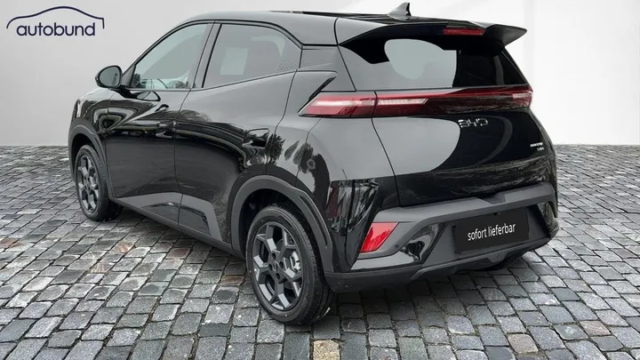 BYD DOLPHIN SURF