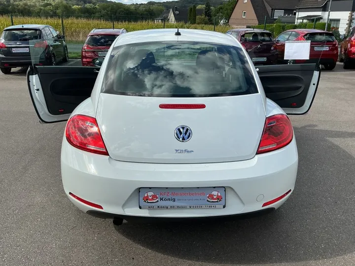 Volkswagen Beetle