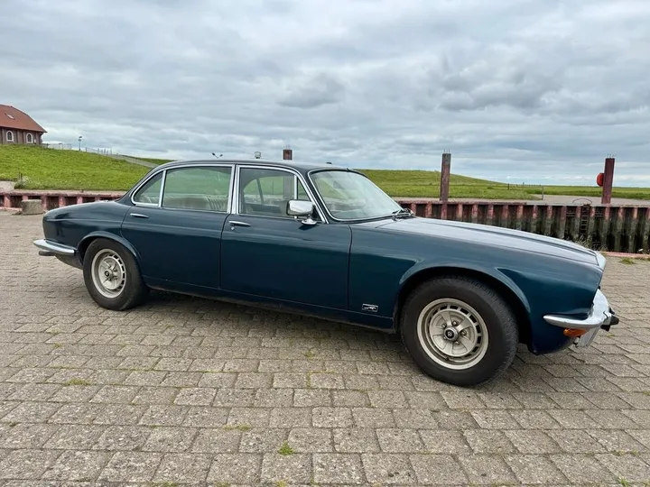 Jaguar Other