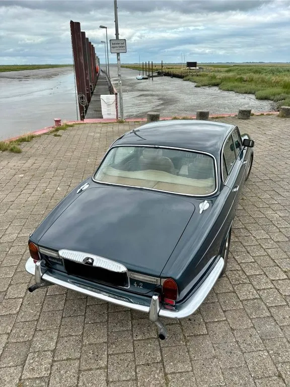 Jaguar Other