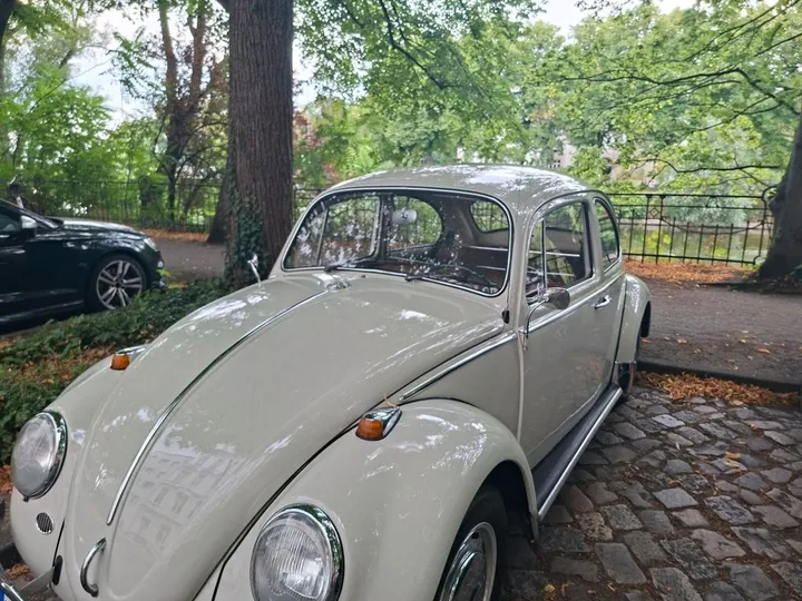 Volkswagen Other
