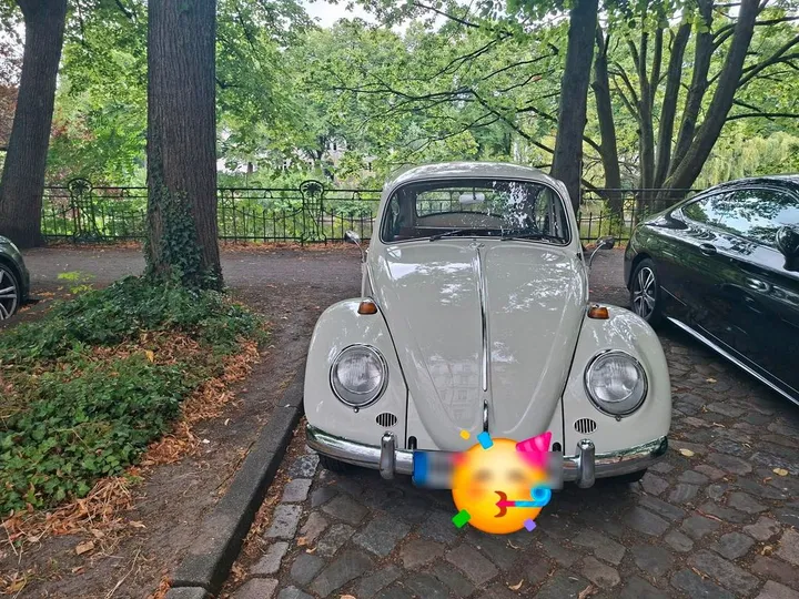 Volkswagen Other