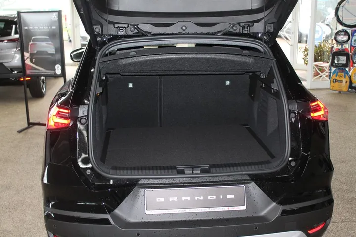 Mitsubishi Grandis