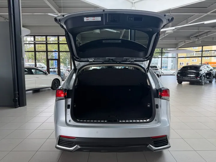 Lexus NX 300