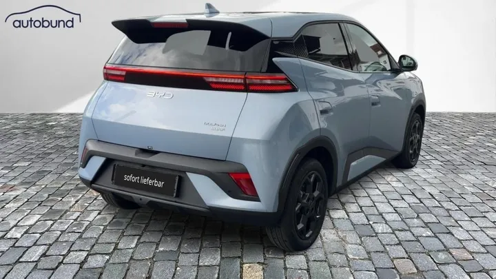 BYD DOLPHIN SURF