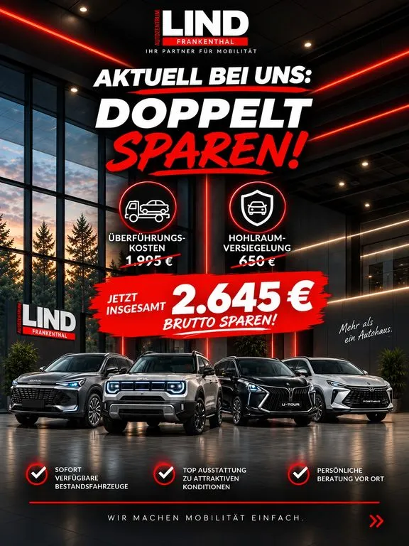 DFM Forthing 5