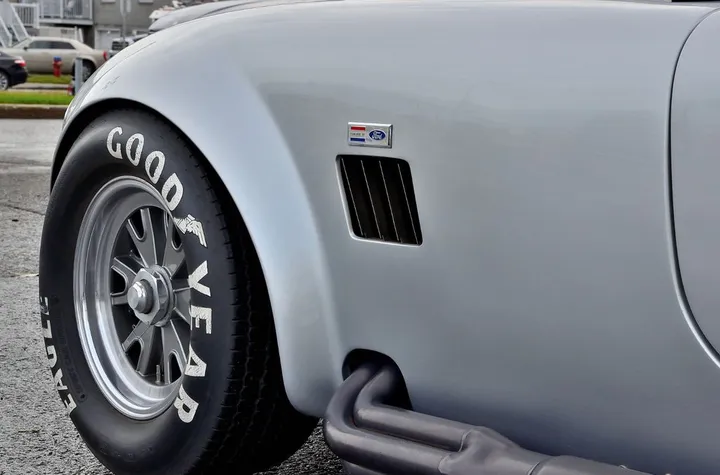 Cobra Other